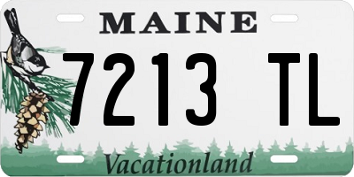 ME license plate 7213TL
