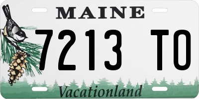 ME license plate 7213TO