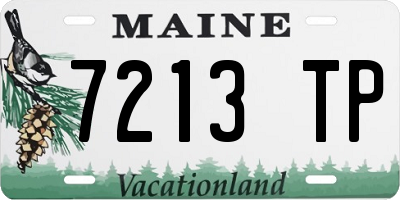 ME license plate 7213TP
