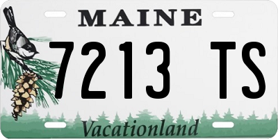 ME license plate 7213TS