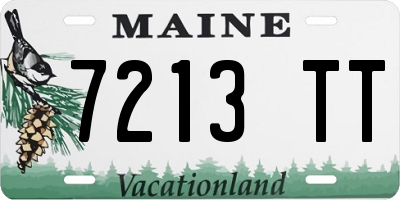 ME license plate 7213TT