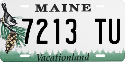 ME license plate 7213TU