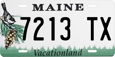 ME license plate 7213TX