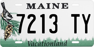 ME license plate 7213TY