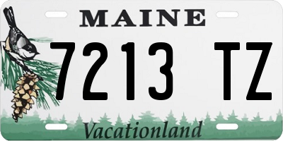 ME license plate 7213TZ