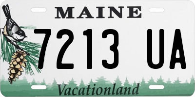 ME license plate 7213UA