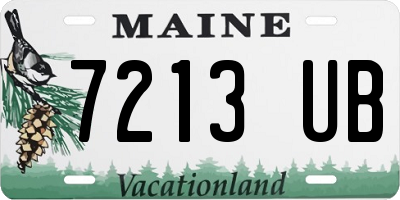 ME license plate 7213UB