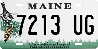 ME license plate 7213UG