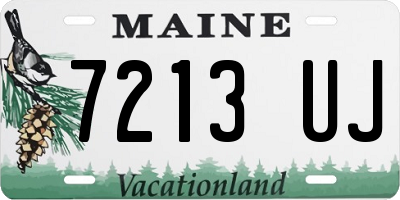 ME license plate 7213UJ