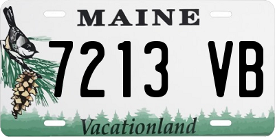 ME license plate 7213VB
