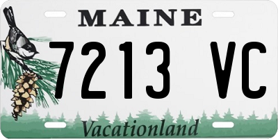 ME license plate 7213VC