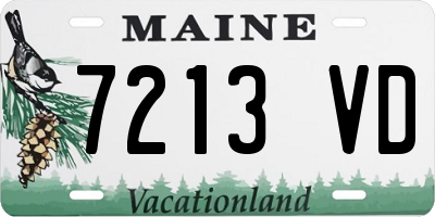 ME license plate 7213VD