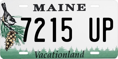 ME license plate 7215UP