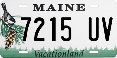 ME license plate 7215UV