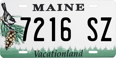 ME license plate 7216SZ
