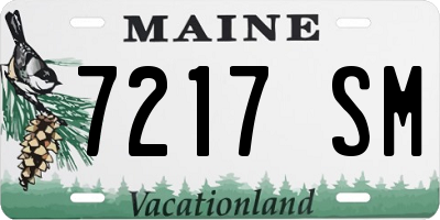 ME license plate 7217SM