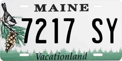ME license plate 7217SY