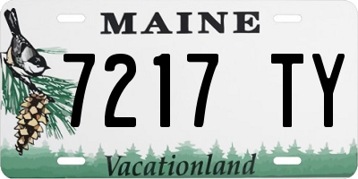 ME license plate 7217TY