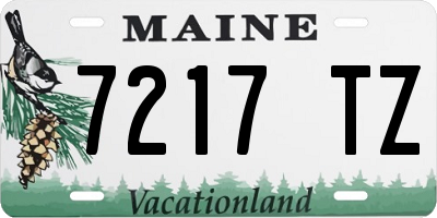 ME license plate 7217TZ