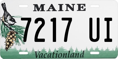 ME license plate 7217UI