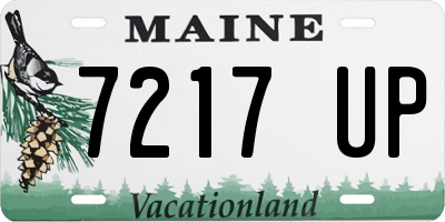 ME license plate 7217UP