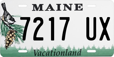 ME license plate 7217UX