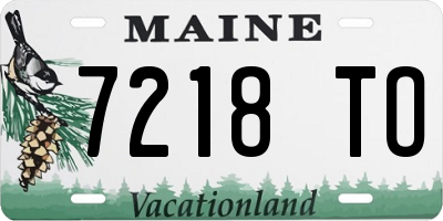 ME license plate 7218TO