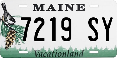 ME license plate 7219SY