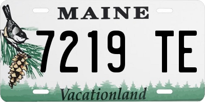 ME license plate 7219TE