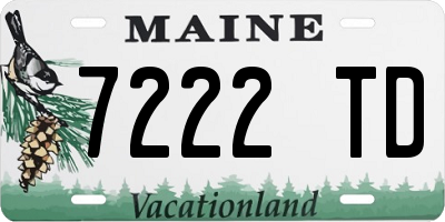 ME license plate 7222TD