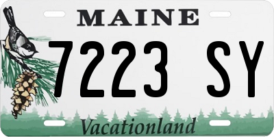 ME license plate 7223SY