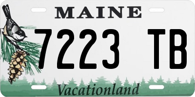 ME license plate 7223TB