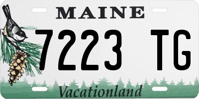 ME license plate 7223TG