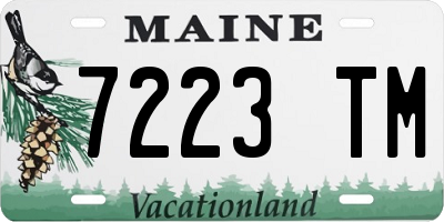 ME license plate 7223TM