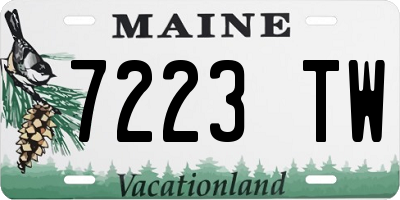 ME license plate 7223TW