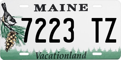 ME license plate 7223TZ