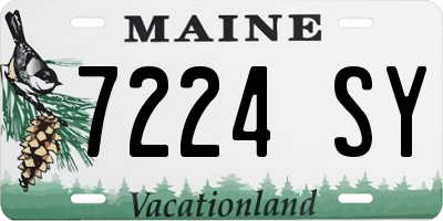 ME license plate 7224SY