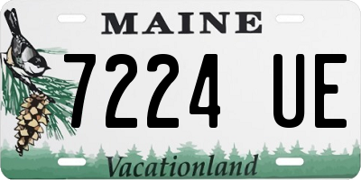 ME license plate 7224UE