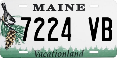 ME license plate 7224VB