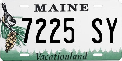 ME license plate 7225SY