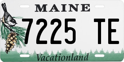 ME license plate 7225TE