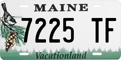ME license plate 7225TF