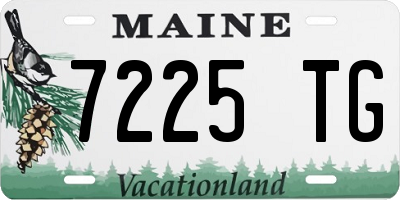 ME license plate 7225TG