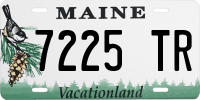 ME license plate 7225TR