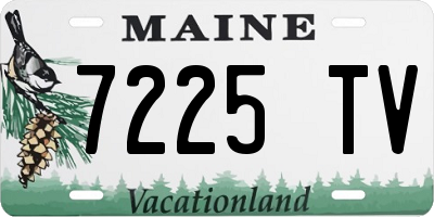 ME license plate 7225TV