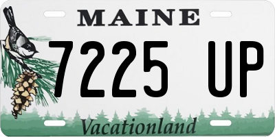 ME license plate 7225UP