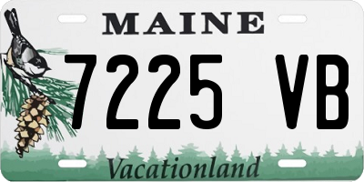 ME license plate 7225VB
