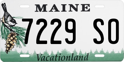 ME license plate 7229SO