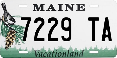 ME license plate 7229TA