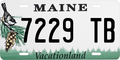 ME license plate 7229TB